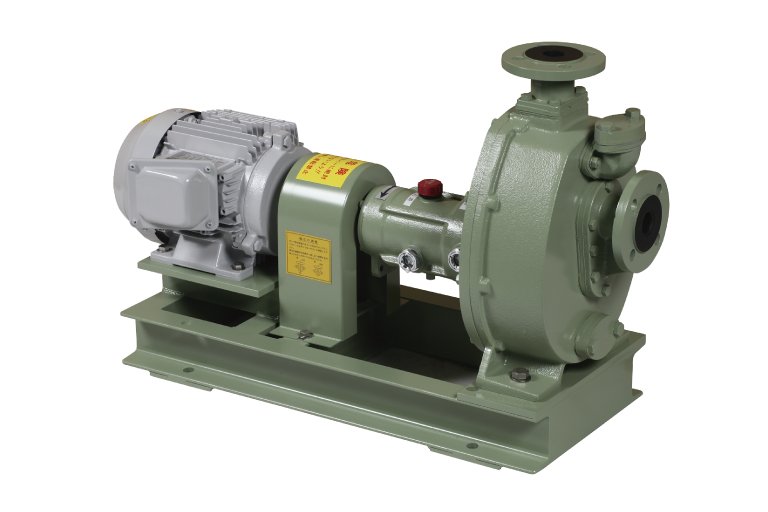 Mitsuwa Pump 2SM-RZ1