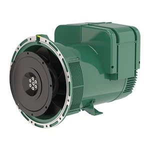 Leroy-Somer LSA 42.3 200kVA 440V 60Hz