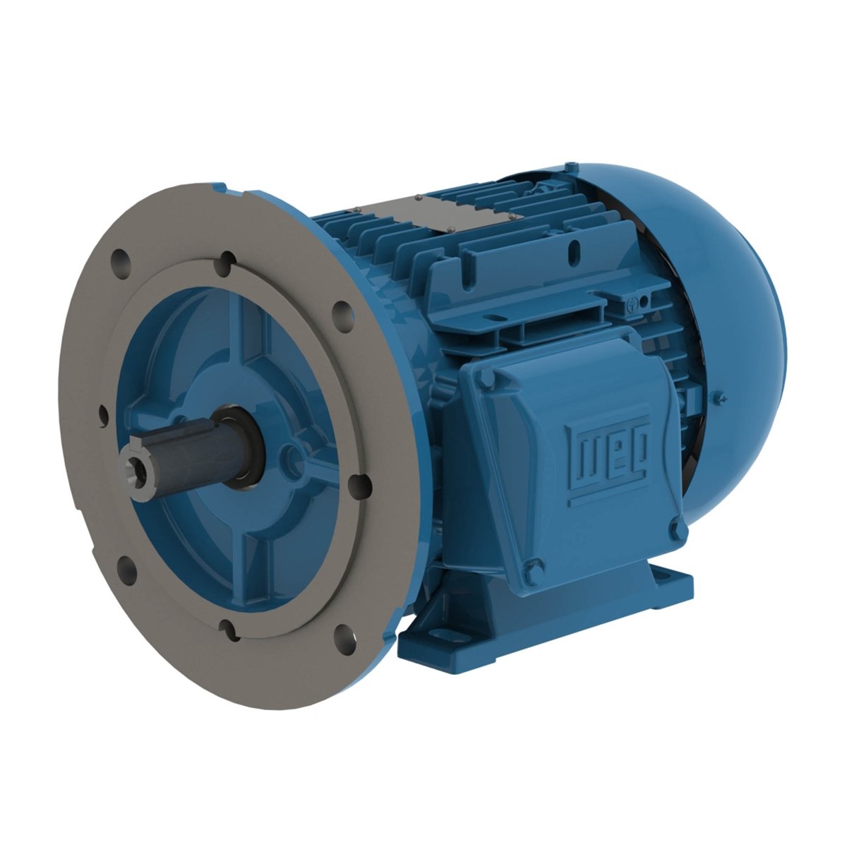 WEG Marine 6RD132M8E3U46