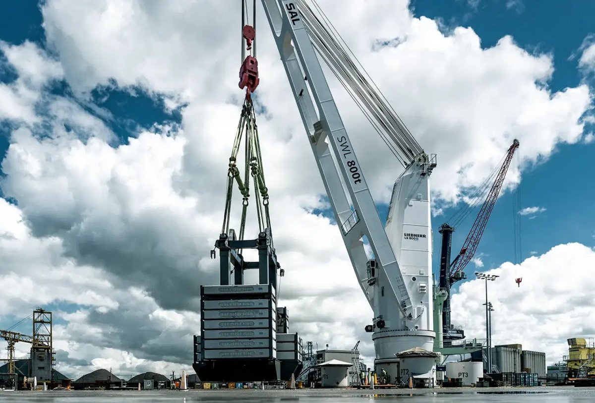 Liebherr Maritime Cranes LS 800 E