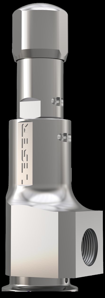 LESER Type 481 | LESER - The Safety Valve