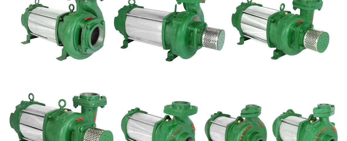 Mono Pumps E1D