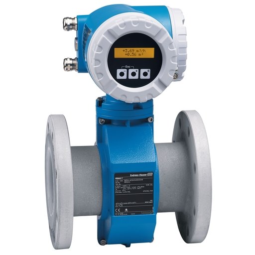 Endress+Hauser ⌀50 mm (1.97 in) PTFE