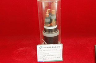 Jiangsu Zhongmei Cable CE85/SC, CE95/SC, CE86/SC, CE96/SC