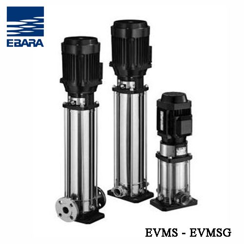 Ebara EVMS