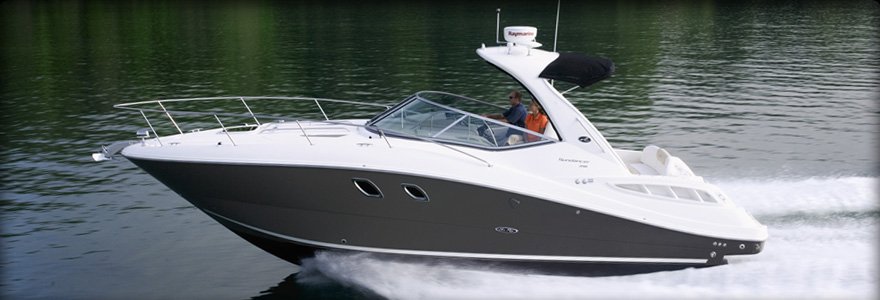 Marine - Care Sea Ray 310 DA