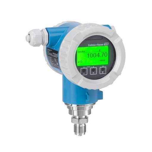 Endress+Hauser NPS 4"