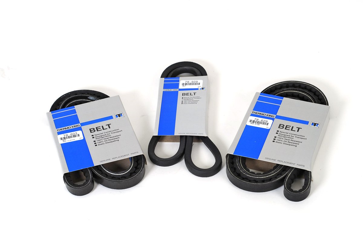 Thermo King 900384TKA