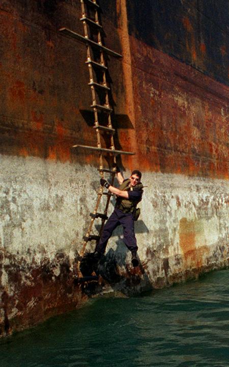 Pilot ladder
